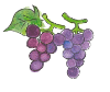 ぶどう