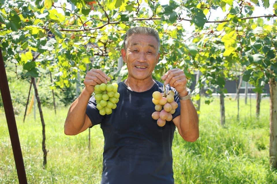 シュシュブドウ園