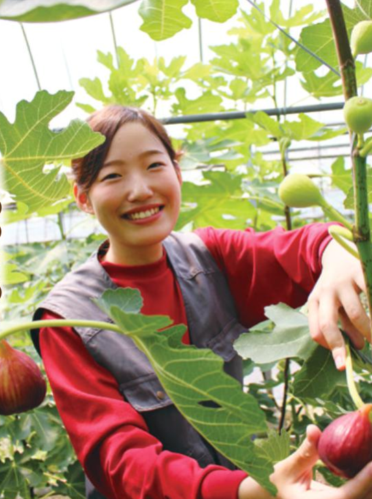 長崎県大村市農業インターンシップ